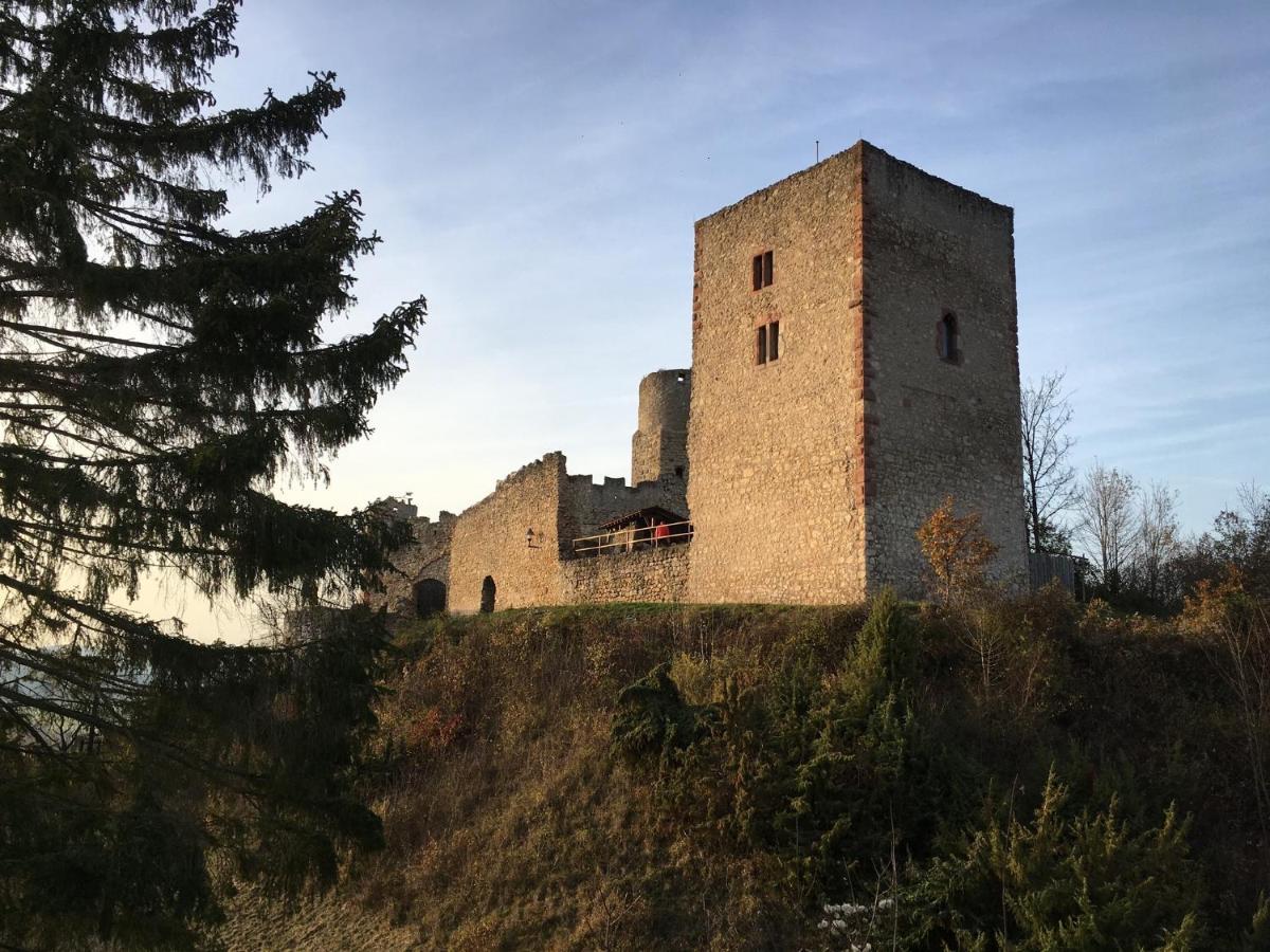 Ferienwohnungen Lausbuben & Zicken - Im Gruenen Herzen Deutschlands Herleshausen Exterior foto